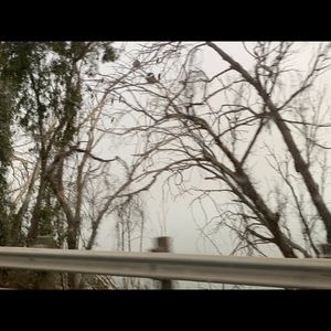 Meet your Posher, Sophia